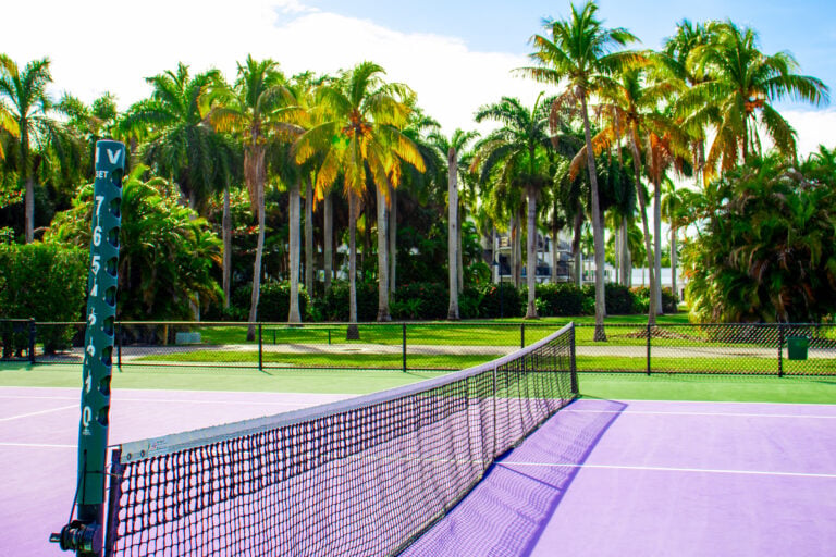 Crandon Park Tennis Center Welcomes New Leadership and Expanded Fall Programming 